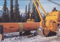 Thumbnail for version as of 07:01, 12 April 2016