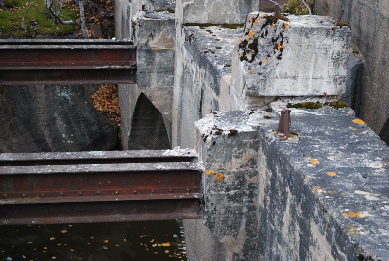 File:DSC 9272.JPG